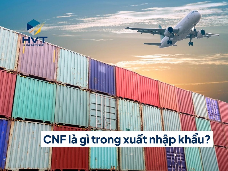 [2023] CNF là gì trong xuất nhập khẩu?