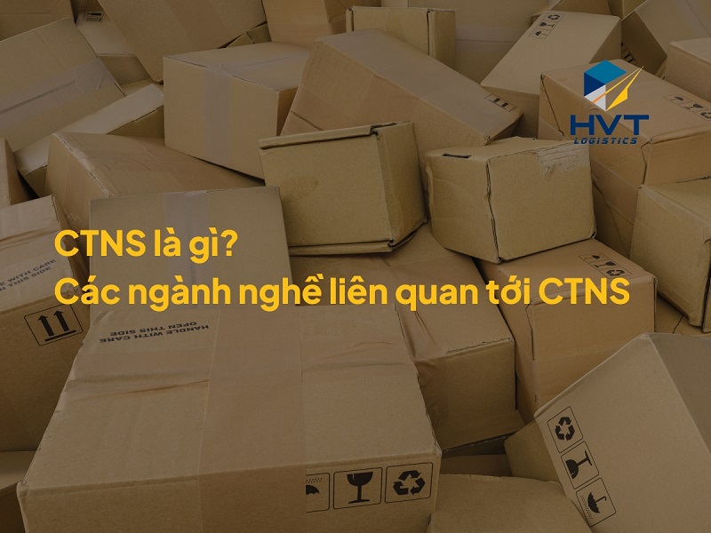 CTNS là gì? Các ngành nghề liên quan tới CTNS