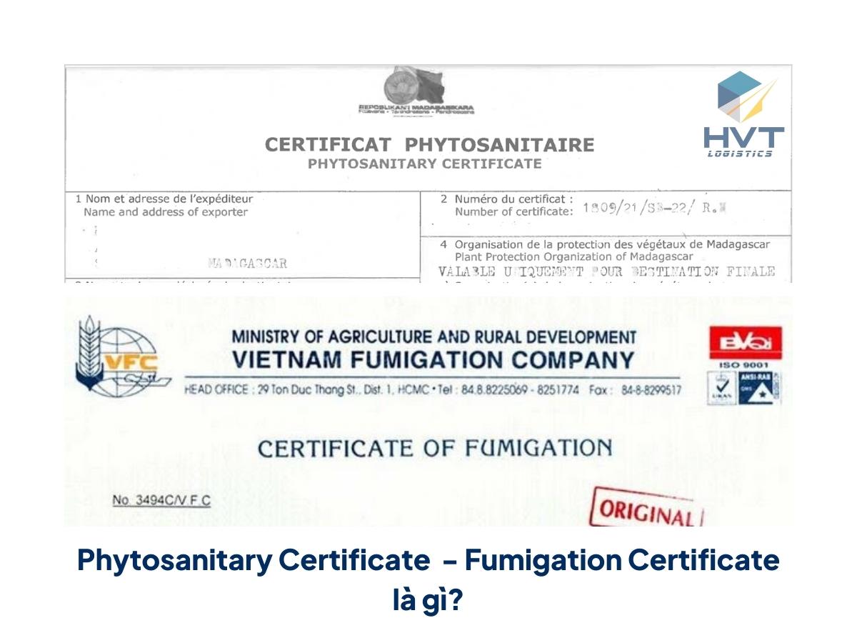 Phytosanitary Certificate - Fumigation Certificate là gì?